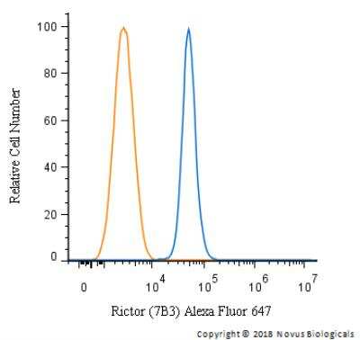 Flow Cytometry: Rictor Antibody (7B3) - BSA Free [NBP1-51645]
