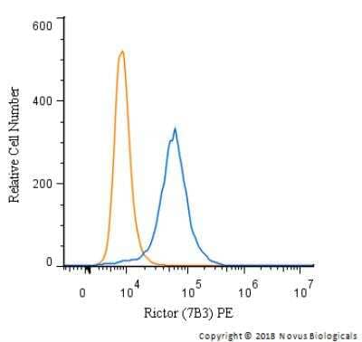 Flow Cytometry: Rictor Antibody (7B3) - BSA Free [NBP1-51645]