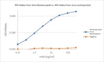 ELISA: Rift Valley Fever Virus Nucleocapsid Antibody (AA11.1.B5.D10) [NBP3-14857]