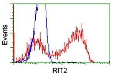 Flow Cytometry: Rit2 Antibody (OTI3F4) - Azide and BSA Free [NBP2-73917]