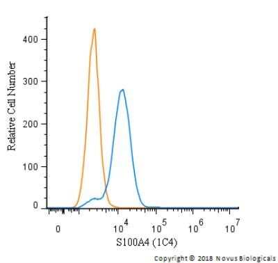 Flow Cytometry: S100A4 Antibody (1C4) - Azide and BSA Free [NBP2-80936]