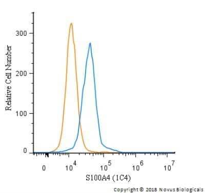 Flow Cytometry: S100A4 Antibody (1C4) - Azide and BSA Free [NBP2-80936]