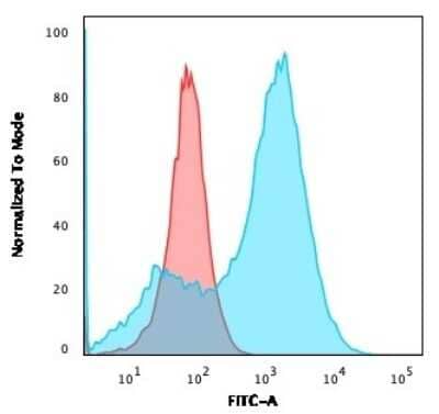 Flow Cytometry: S100A4 Antibody (S100A4/1481) [NBP2-53178]