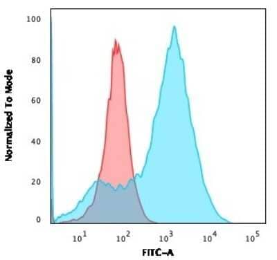 Flow Cytometry: S100A4 Antibody (S100A4/1482) [NBP2-53270]