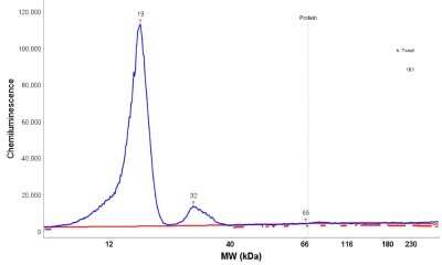 Simple Western: S100A9 Antibody [NBP1-89360]