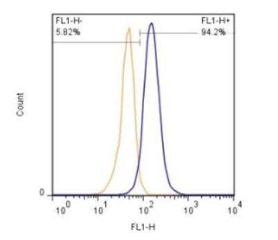 Flow Cytometry: S100B Antibody (15F4NB) - Azide and BSA Free [NBP2-45225]