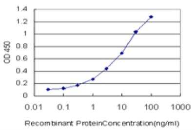 ELISA: SAFB Antibody (5A11) [H00006294-M04]