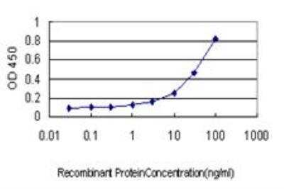 ELISA: SALL4 Antibody (6E3) [H00057167-M03]