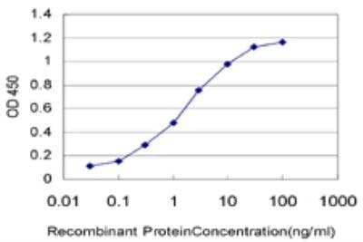 ELISA: SAM68 Antibody (1A4) [H00010657-M03]