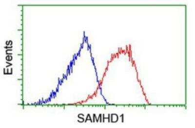 Flow Cytometry: SAMHD1 Antibody (OTI3F5) [NBP2-03285]