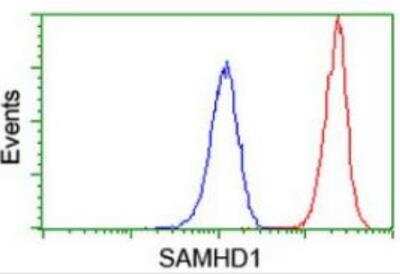 Flow Cytometry: SAMHD1 Antibody (OTI3F5) [NBP2-03285]