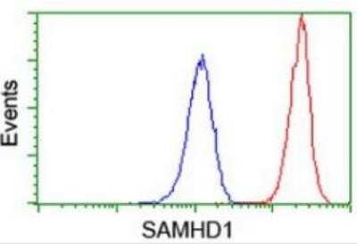 Flow Cytometry: SAMHD1 Antibody (OTI3F5) - Azide and BSA Free [NBP2-73979]