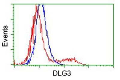 Flow Cytometry: SAP102 Antibody (OTI3F2) [NBP2-03428]
