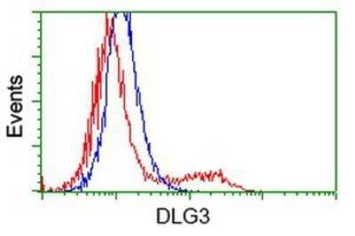 Flow Cytometry: SAP102 Antibody (OTI3F2) - Azide and BSA Free [NBP2-73985]