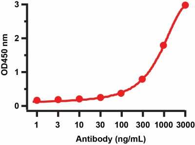 ELISA: SARS-CoV-2 3CL Protease Antibody - BSA Free [NBP3-07061]