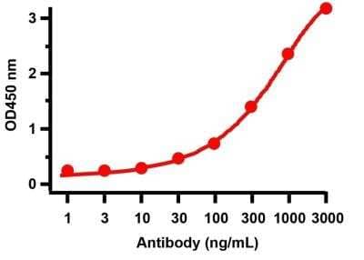 ELISA: SARS-CoV-2 3CL Protease Antibody - BSA Free [NBP3-07062]