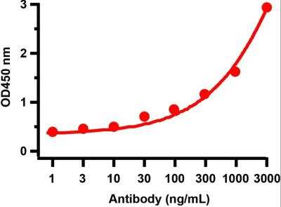 ELISA: SARS-CoV-2 Envelope Antibody - BSA Free [NBP3-07060]