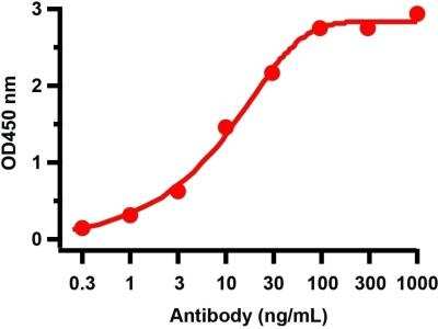ELISA: SARS-CoV-2 Envelope Antibody - BSA Free [NBP3-07060]