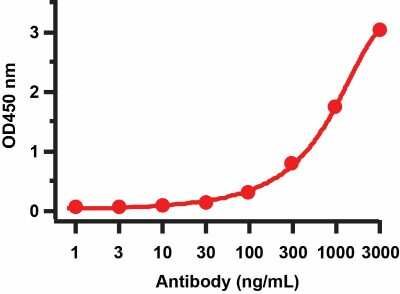 ELISA: SARS-CoV-2 Membrane Protein Antibody - BSA Free [NBP3-07058]