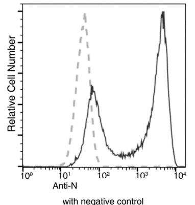 Flow Cytometry: SARS-CoV-2 Nucleocapsid Antibody (004) [NBP3-12734]
