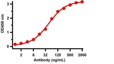 ELISA: SARS-CoV-2 Nucleocapsid Antibody (3851) - BSA Free [NBP3-05706]