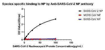 ELISA: SARS-CoV-2 Nucleocapsid Antibody (4Z6T2) - Azide and BSA Free [NBP3-05765]