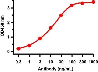 ELISA: SARS-CoV-2 ORF10 Antibody - BSA Free [NBP3-11939]