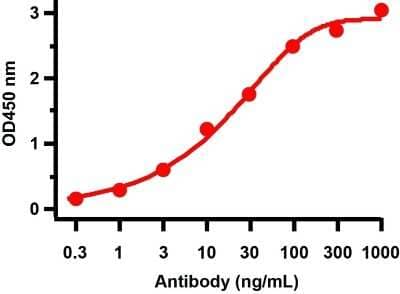 ELISA: SARS-CoV-2 ORF7a Antibody - BSA Free [NBP3-11936]