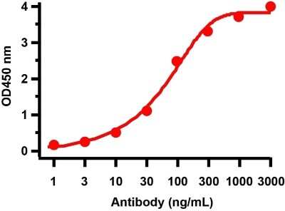 ELISA: SARS-CoV-2 ORF8 Antibody - BSA Free [NBP3-11934]