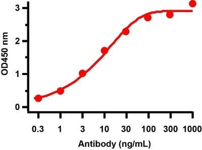 ELISA: SARS-CoV-2 ORF8 Antibody - BSA Free [NBP3-11935]