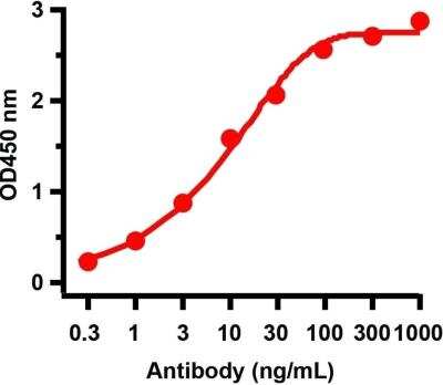 ELISA: SARS-CoV-2 ORF9b Antibody - BSA Free [NBP3-07036]