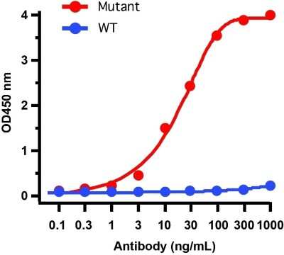 ELISA: SARS-CoV-2 Spike Antibody - Alpha Variant, B.1.1.7, UK - BSA Free [NBP3-11931]