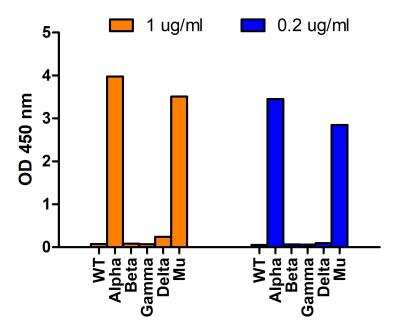 ELISA: SARS-CoV-2 Spike Antibody - Alpha Variant, B.1.1.7, UK - BSA Free [NBP3-11931]