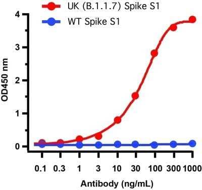 ELISA: SARS-CoV-2 Spike Antibody - Alpha Variant, B.1.1.7, UK - BSA Free [NBP3-11931]