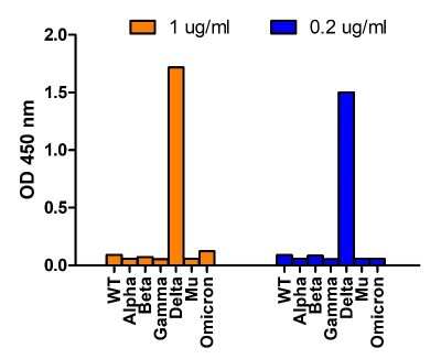 ELISA: SARS-CoV-2 Spike Antibody - Delta Variant, B.1.617.2, India - BSA Free [NBP3-12853]