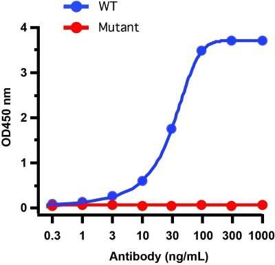 ELISA: SARS-CoV-2 Spike Antibody (1C3H9) - BSA Free [NBP3-12855]