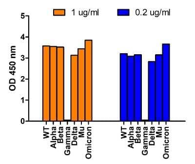 ELISA: SARS-CoV-2 Spike Antibody (1C3H9) - BSA Free [NBP3-12855]