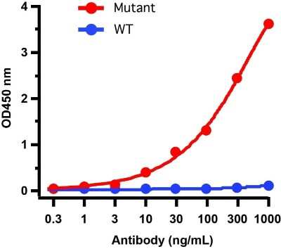 ELISA: SARS-CoV-2 Spike Antibody (5G12G11) - Gamma Variant, P.1, Brazil - BSA Free [NBP3-12856]