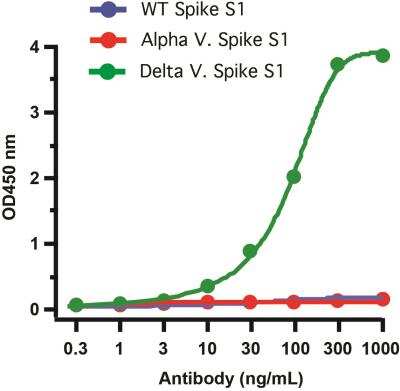 ELISA: SARS-CoV-2 Spike Antibody (5H4C5) - Delta Variant, B.1.617.2, India - BSA Free [NBP3-14792]