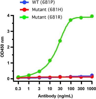 ELISA: SARS-CoV-2 Spike Antibody (5H4C5) - Delta Variant, B.1.617.2, India - BSA Free [NBP3-14792]