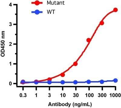ELISA: SARS-CoV-2 Spike Antibody (7A4D12) - Alpha Variant, B.1.1.7, UK - BSA Free [NBP3-12854]