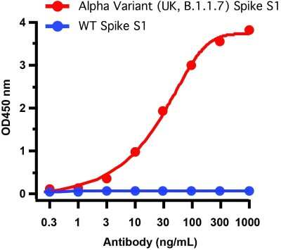 ELISA: SARS-CoV-2 Spike Antibody (7C11H11) - Alpha Variant, B.1.1.7, UK - BSA Free [NBP3-11942]