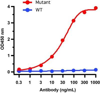 ELISA: SARS-CoV-2 Spike Antibody (7C11H11) - Alpha Variant, B.1.1.7, UK - BSA Free [NBP3-11942]