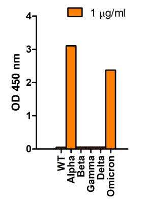 ELISA: SARS-CoV-2 Spike Antibody (7C11H11) - Alpha Variant, B.1.1.7, UK - BSA Free [NBP3-11942]