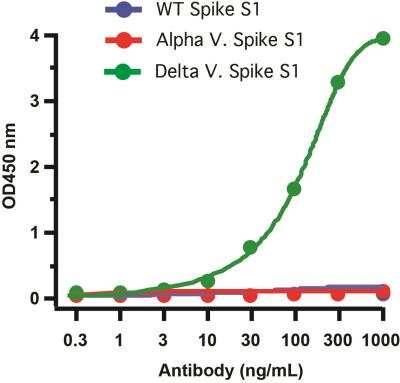 ELISA: SARS-CoV-2 Spike Antibody (7E3C5) - Delta Variant, B.1.617.2, India - BSA Free [NBP3-14793]