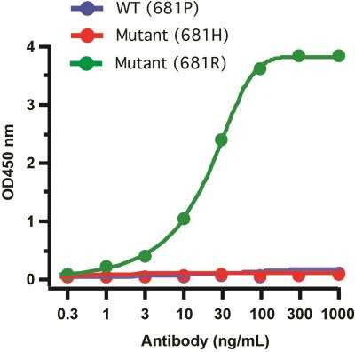 ELISA: SARS-CoV-2 Spike Antibody (7E3C5) - Delta Variant, B.1.617.2, India - BSA Free [NBP3-14793]