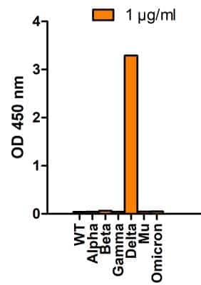 ELISA: SARS-CoV-2 Spike Antibody (7E3C5) - Delta Variant, B.1.617.2, India - BSA Free [NBP3-14793]