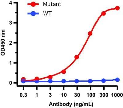 ELISA: SARS-CoV-2 Spike Antibody (9F7E4) - Alpha Variant, B.1.1.7, UK - BSA Free [NBP3-11941]