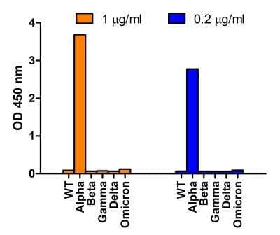 ELISA: SARS-CoV-2 Spike Antibody (9F7E4) - Alpha Variant, B.1.1.7, UK - BSA Free [NBP3-11941]