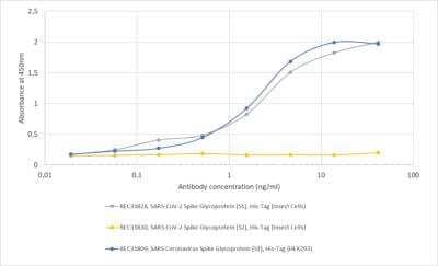 ELISA: SARS-CoV-2 Spike Antibody (CR3022) - Azide and BSA Free [NBP2-90980]